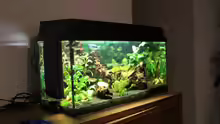Aquarium von links mit Sicht auf Innenfilter ;-)