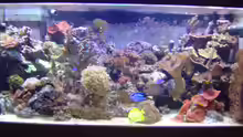 Aquarium vorderansicht
