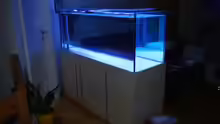Aquarium Wartungsseite