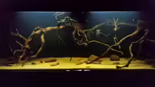 Aquarium Wurzelbiotop 2 (Nur noch als Beispiel)