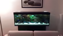 Aquarium Zu Verkaufen !!!