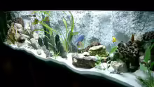 Aquarium