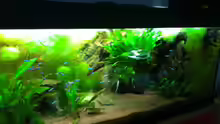 Aquarium