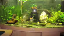 Aquarium