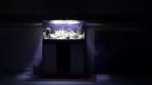 Aquarium