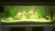 Aquarium