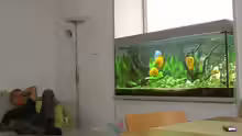 Aquariumrelex