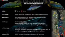 Artentafel - Mylochromis gracilis