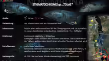 Artentafel Stigmatochromis tolae
