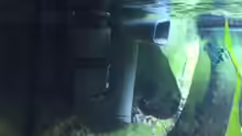 Austritt des neuen Fluval 205 Außenfilter