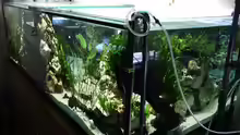 Das Aquarium von hinten in einem Nebenraum