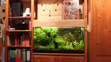 Das verstärkte IKEA-Aquarienregal :)