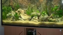 Dekoration im Aquarium Becken 532