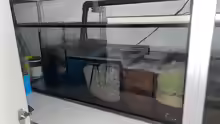 Filterbecken