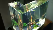 Fluval Edge 2