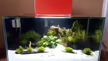 Fluval Edge 2