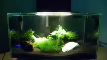 Fluval Edge