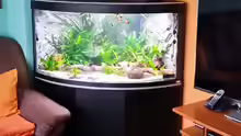 Fluval Venezia 350 neu Einrichtung