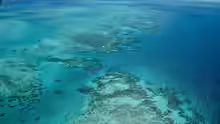 Great Barrier Reef
