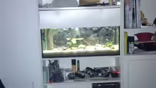 IKEA Billy Regal Aquarium