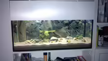 IKEA Billy Regal Aquarium