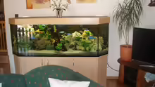 Im Wohnzimmer neben dem Fernseher