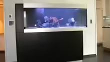 Installation des Aquarium