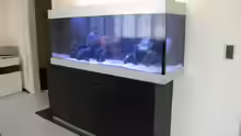 Installation des Aquarium