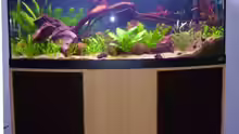 Komplettaquarium mit Unterschrank - November 2012