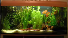 komplettes Aquarium - 2011