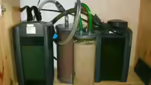 Links Amazonas, rechts Barschfilter, mittig ist ein großer Harzfilter ans Barschbecken