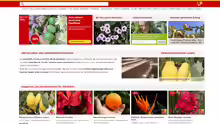 Lubera.com