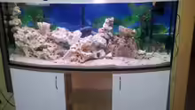 Meerwasser