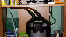 Mein Aquarienschrank inklusive Technik u. Futter!
