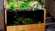 Mein Aquarium!