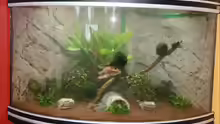 Mein neues Eckaqaurium
