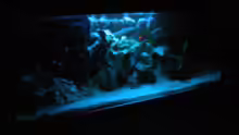 Mondlicht Aquarium