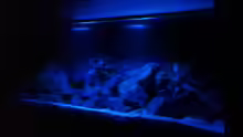 LED-Mondlicht