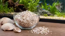 Muschelgrit