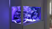 Nanoaquarium