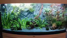 Panorama-Aquarium