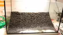 Soil