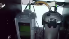 Technik im Aquarium Becken 10057