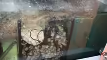 Technik im Aquarium Becken 12042