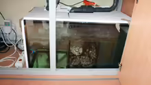 Technik im Aquarium Becken 12042