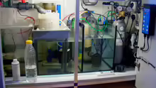 Technik im Aquarium Becken 14482
