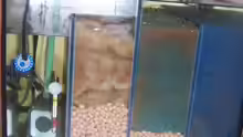 Technik im Aquarium Becken 1541