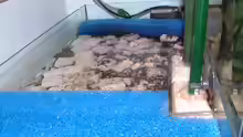 Technik im Aquarium Becken 425