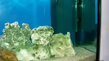 Technik im Aquarium Becken 491