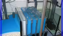 Technik im Aquarium Becken 5513